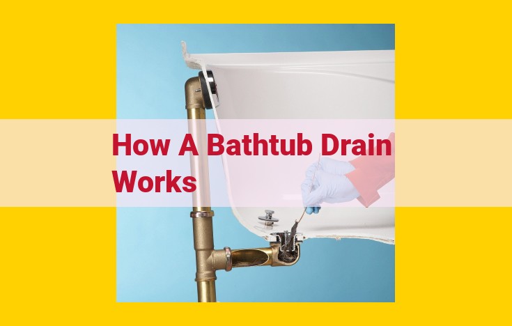 Ultimate Guide to Bathtub Drains: Components, Maintenance, and Troubleshooting