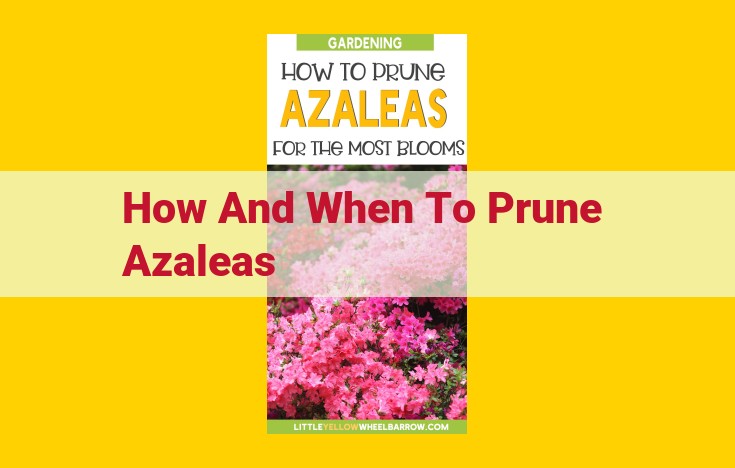 Expert Guide to Azalea Pruning: Timing, Technique, and Tips for Thriving Blooms