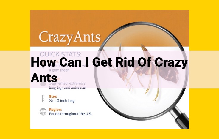 Eliminate Crazy Ants: Ultimate Guide to Prevention and Control