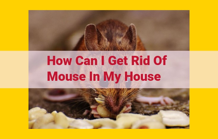 Comprehensive Guide to Eliminating Mice Infestations: Essential Steps for a Pest-Free Home