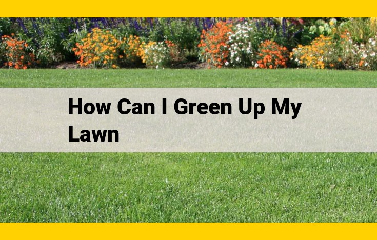 Enhance Your Lawn's Lushness with Expert Care from Lawn Care Specialists