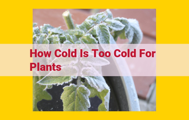 Cold Hardiness in Plants: Optimizing Survival in Diverse Climates