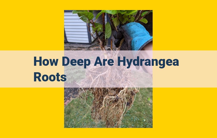 Understanding Hydrangea Root Systems: Depth, Distribution, and Resilience