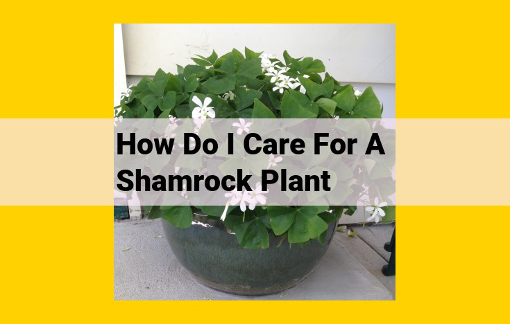 How to Care for Shamrock Plants: A Comprehensive Guide to Thriving Oxalis Triangularis