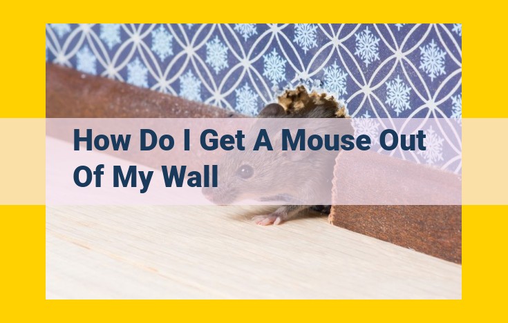 Eliminate Mice Infestation from Walls: Comprehensive Sealing and Trapping Guide