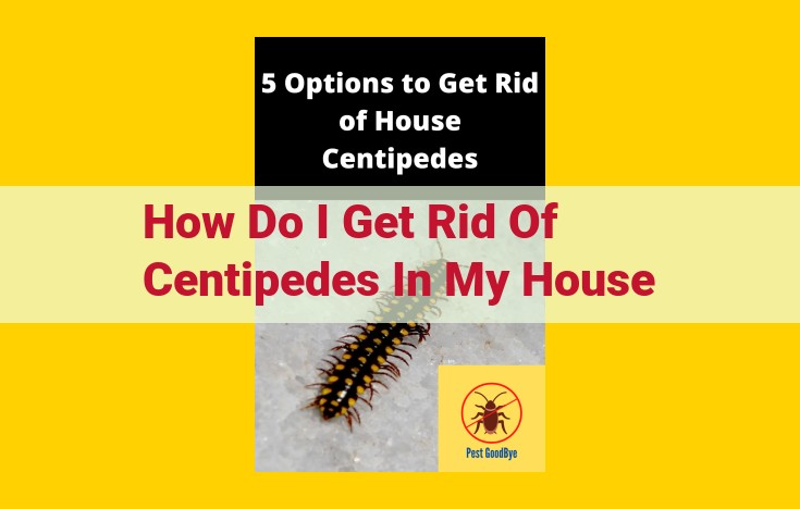 Eliminating Centipedes: Comprehensive Pest Control and Eradication Strategies