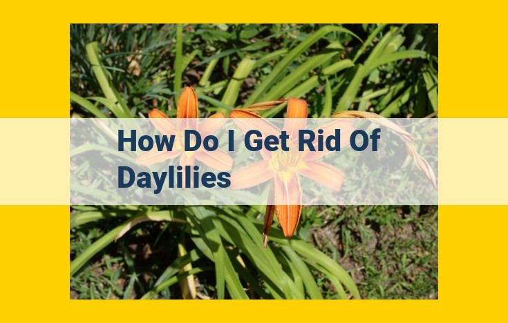 Ultimate Guide to Eliminating Daylilies: Methods and Safety Tips