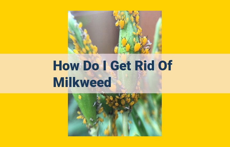 Expert Guide to Milkweed Management: Regulations, Assistance, and Targeted Solutions