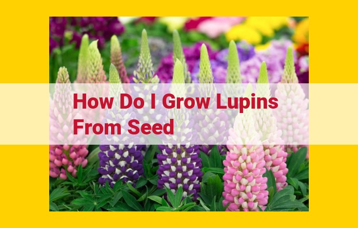 Comprehensive Lupin Growing Guide: From Cultivation to Care