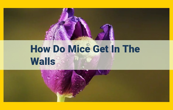 Protect Your Home: How Mice Invade and Prevent Wall Entry