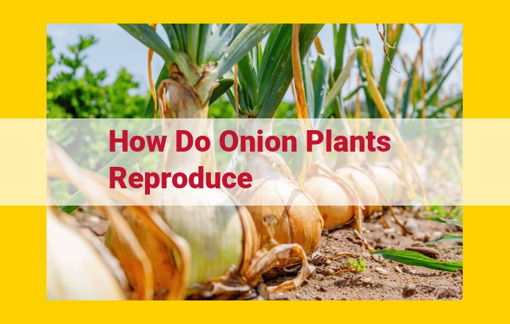 Understanding Onion Reproduction: Bulb Formation, Flowering, and Vegetative Propagation