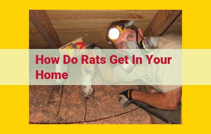 Rat Prevention: Keep Them Away with Food, Water, and Shelter Control