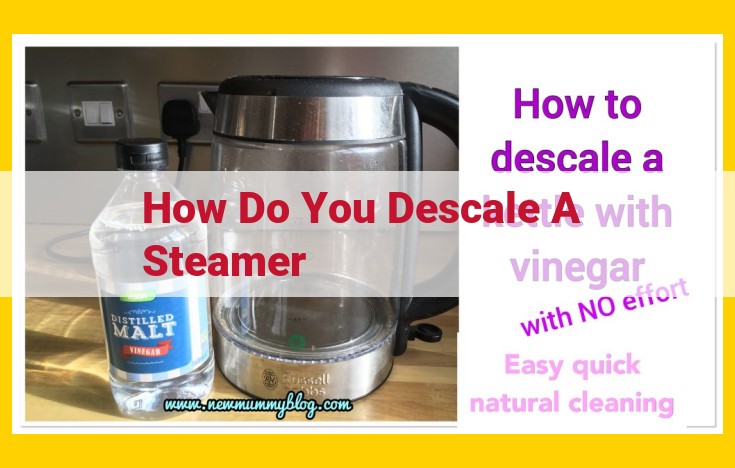 How to Descale Your Steamer Effortlessly: A Comprehensive Guide with Safety Measures