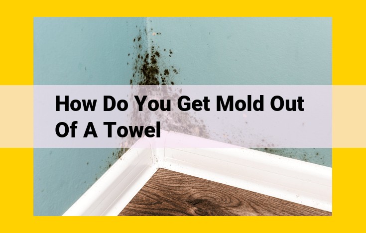 Effective Mold Removal from Towels: A Comprehensive Guide