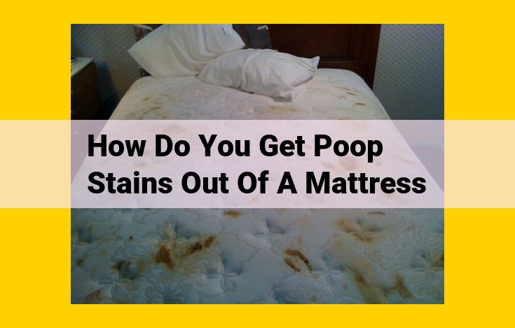 How to Remove Poop Stains from Mattresses: A Step-by-Step Guide