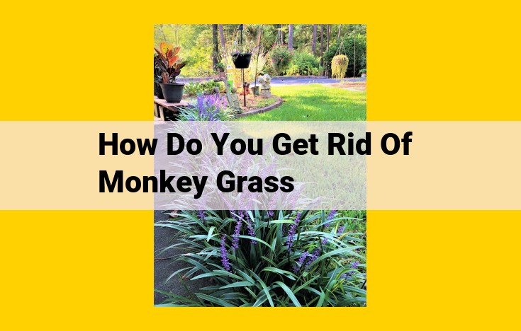 Eliminate Monkey Grass Effectively: A Comprehensive IPM Strategy