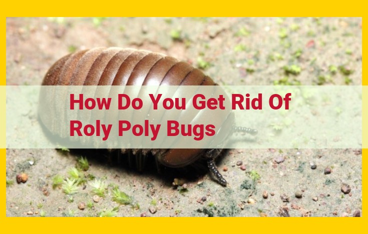 Roly Poly Bug Control: Insecticides, Effectiveness, and Environmental Concerns