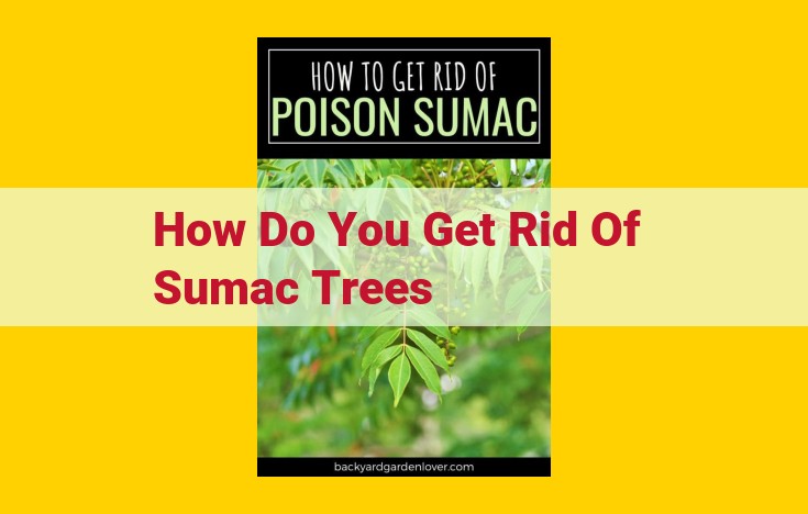 Sumac Tree Removal: Comprehensive Guide to Elimination Methods