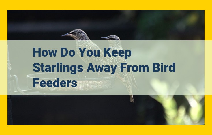 Effective Starling Deterrence: Protect Bird Feeders and Wildlife