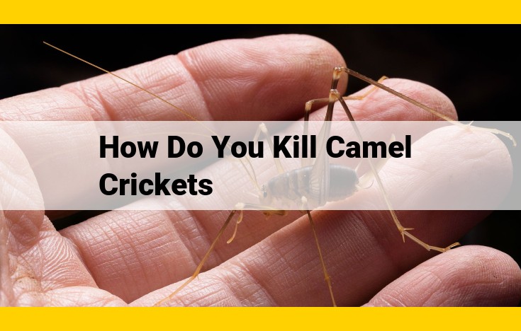 Eliminate Camel Crickets: Effective Methods and Biological Insight