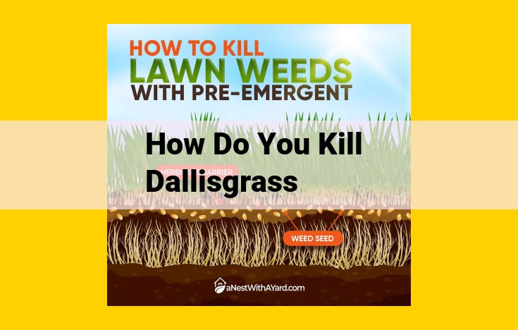 How to Eliminate Dallisgrass: A Comprehensive Approach for Eradication