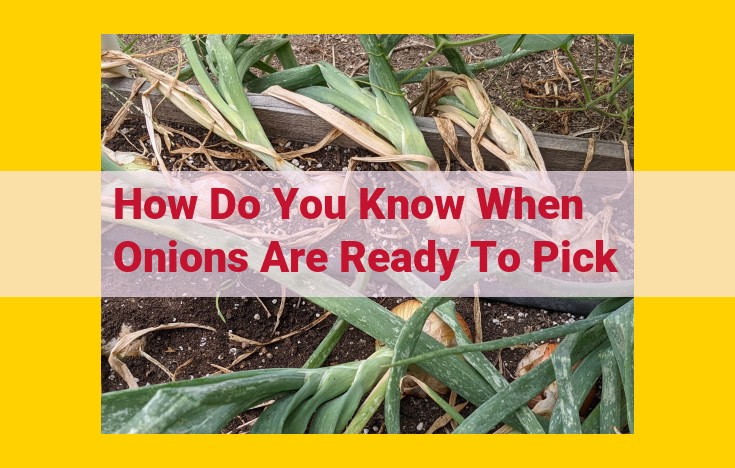 How to Determine When Onions Are Ripe for Harvesting: A Comprehensive Guide