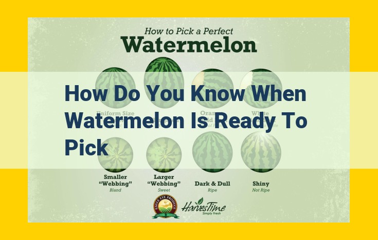 How to Choose the Perfect Ripe Watermelon: A Comprehensive Guide to Visual, Tactile, and Physiological Cues