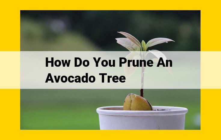 Essential Pruning Guide for Avocado Trees: Maximizing Yield and Tree Health