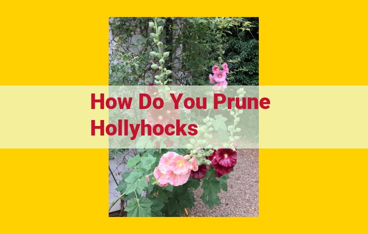 Comprehensive Hollyhock Pruning Guide for Optimal Health and Appearance