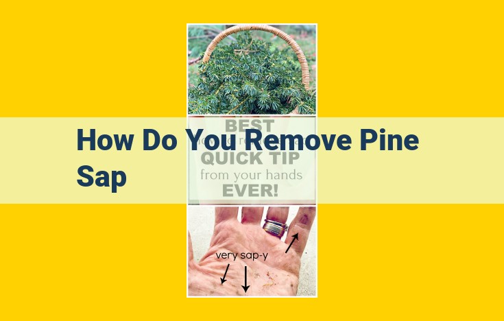 Expert Guide: Effective Pine Sap Removal Techniques for Various Surfaces