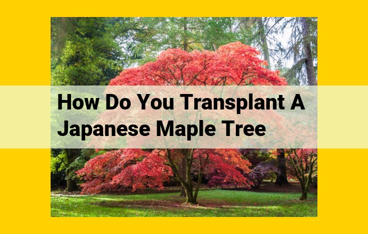 How to Transplant a Japanese Maple: Step-by-Step Guide for Successful Relocation