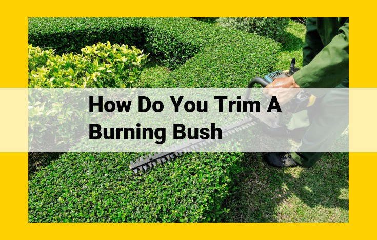 Optimal Burning Bush Trimming: Essential Tools, Timing, Techniques, and Maintenance