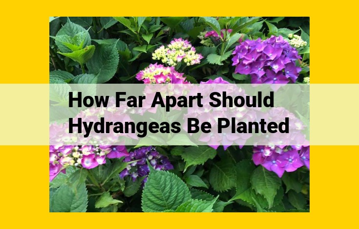 The Ultimate Guide to Hydrangea Spacing for Optimal Health and Blooms