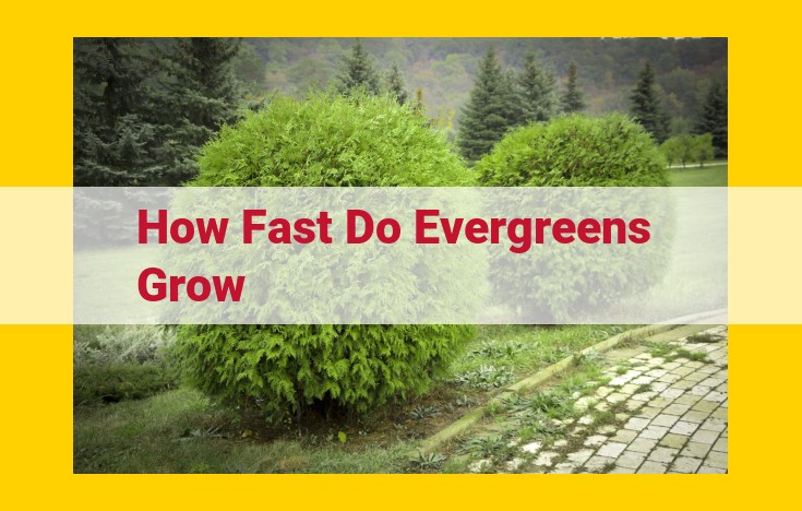 Factors Affecting Evergreen Growth Rate: Climate, Soil, Sunlight, and Care