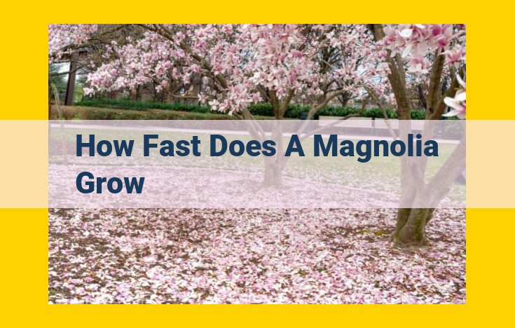 Magnolia Growth Rate: Factors and Tips to Maximize Growth