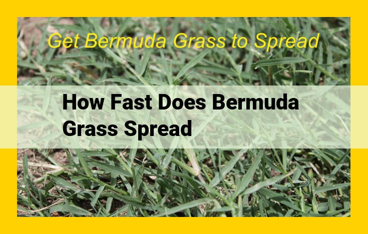 Bermuda Grass: Ultimate Guide to Rapid Growth, Spread, and Environmental Factors