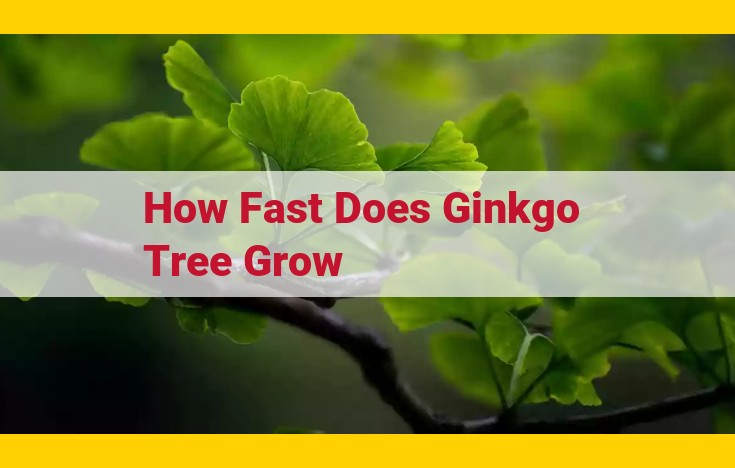 Ginkgo Tree Growth: Annual Height Increase Explained