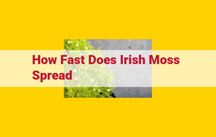 How Fast Does Irish Moss Spread? - A Comprehensive Guide