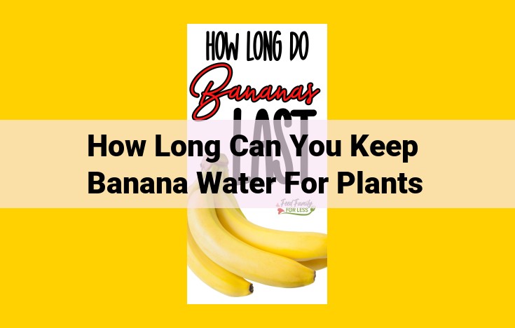 Banana Water: Extend its Shelf Life with These Storage Tips