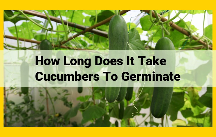 Cucumber Germination: Optimize Conditions for Rapid and Successful Seedling Emergence