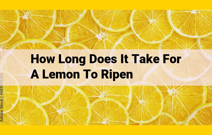 Lemon Ripening: A Comprehensive Guide to the Biochemical Transformation and Sweetening Process