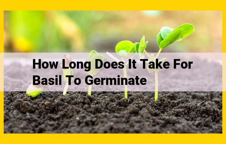 Comprehensive Guide to Basil Seed Germination: Maximizing Results for Optimal Growth