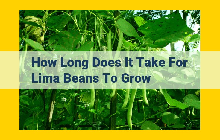 Discover Lima Bean Cultivation: A Guide to Nutrition and Growth Optimization