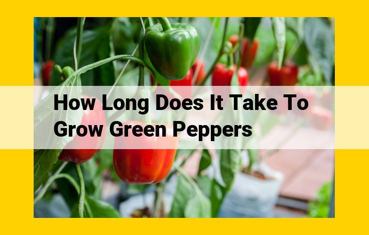 Cultivating Green Peppers: A Comprehensive Guide from Transplant to Harvest