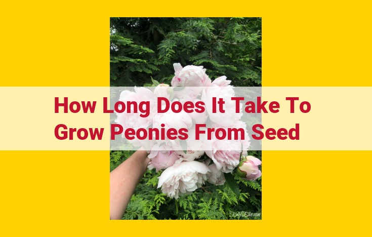 Ultimate Guide: Growing Peonies from Seed | Patience is Key to Blooming Beauty