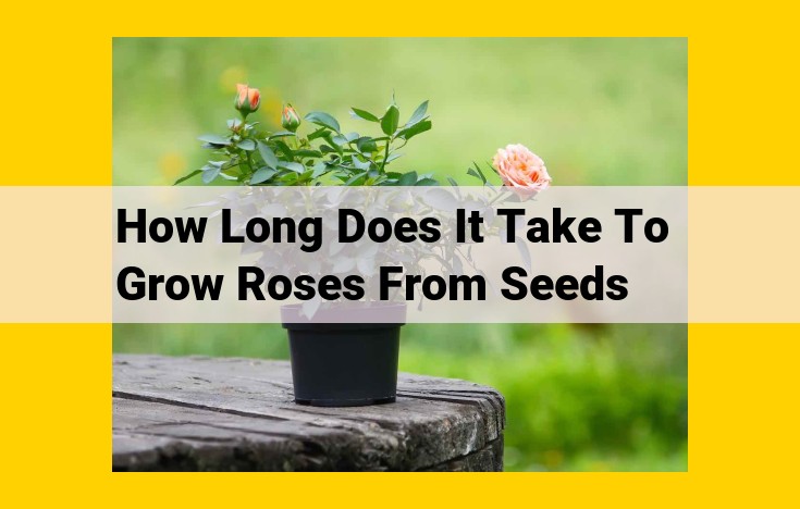 Growing Roses from Seeds: A Comprehensive Guide to Timelines and Factors