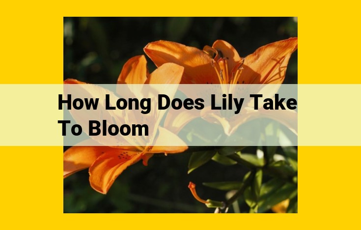 How Long Do Lilies Take to Bloom? Insights and Factors Affecting Bloom Time