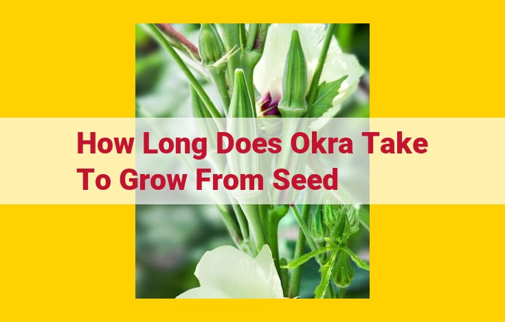 Okra: A Guide to Growing, Harvesting, and Enjoying This Nutrient-Rich Vegetable