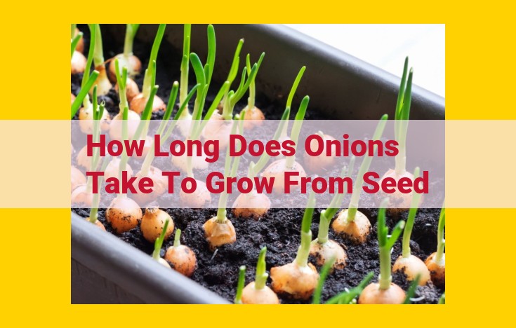 Onion Growing Guide: From Seed to Harvest in 100-120 Days