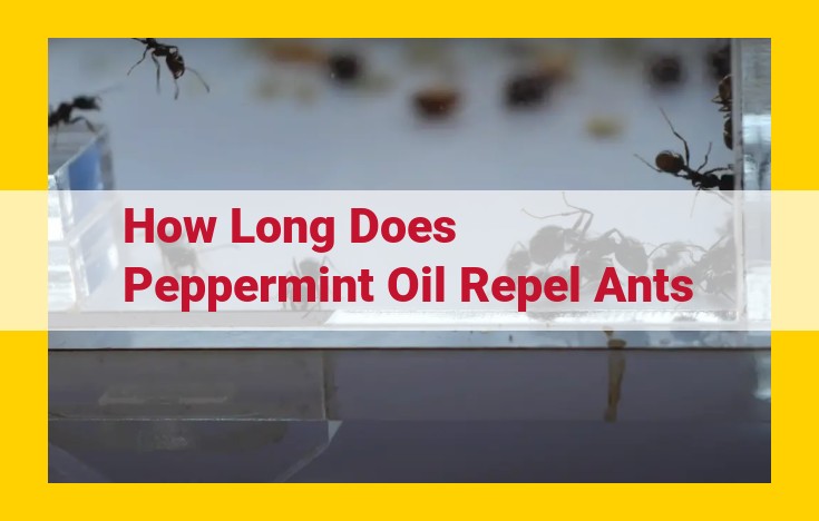 Peppermint Oil: A Natural Ant Repellent with Proven Effectiveness